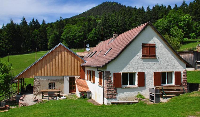 Gite Rammelstein Ribeauvillé Exterior foto